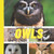 Toddler Book About Owls: A Picture Book for Preschoolers