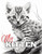 My Kitten: Kitten Coloring Book for Adults