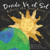 Donde Va el Sol: Where the Sun Goes