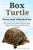 Box Turtle: Box turtle care, health, diet, breeding, cages, pro's and cons and lots more included