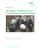 Die Digitale Transformation Der Erwachsenen- Und Weiterbildung (German Edition)