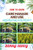 How to Grow Care Manage and Use Arborvitae for Profit: One Touch On Cultivation, Management, And Profitable Utilization For Successful Growth And Care