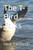 The T-Bird Talks
