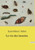La vie des insectes
