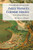 Asian Slaves In Colonial Mexico: From Chinos To Indians (Cambridge Latin American Studies, Series Number 100)
