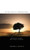 In the Light of a Blessed Tree