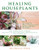 Healing Houseplants: How To Keep Plants Indoors For Clean Air, Healthier Skin, Improved Focus, And A Happier Life!
