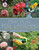 Practical Rose Gardening: How To Place, Plant, And Grow More Than Fifty Easy-Care Varieties
