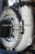 Centrifugal Pumps