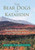 The Bear Dogs of Katahdin: And Other Recollections of a Baxter State Park Ranger