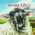 Saving Lily