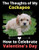 The Thoughts of My Cockapoo: How to Celebrate Valentine's Day