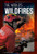 The World'S Wildfires (Special Reports)