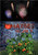 Tomatoes in July