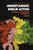 Understanding Insulin Action: Principles and Molecular Mechanisms