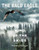 The Bald Eagle: King of the Skies