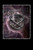 The Little Book of Magic Spells for Witches