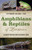 Amphibians And Reptiles Of Louisiana: An Identification And Reference Guide