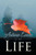 Autumn Leaves of My Life