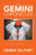 The Gemini Chronicles Volume 1: Volume 1