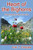 Heart of the Bighorns