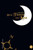 De la Tierra a la Luna