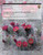 Annotated Checklist of Vascular Flora: Zion National Park