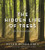 The Hidden Life Of Trees: The Illustrated Edition