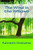 The Wind in the Willows