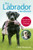 The Labrador Handbook: Your Definitive Guide To Care And Training