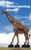 The Roller-skating Giraffe