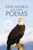 Lone Witness and Other Poems