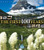 Glacier National Park: The First 100 Years
