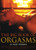 Big Book Of Orgasms: 69 Sexy Stories