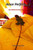 Amor Perfeito...!: Uma Perfeita Estoria de Amor...!