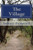 The Village: Mesmerism Of a Village