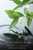 The Blessing Book: God's Story Blessing by Blessing