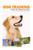 Dog Training: How to train a dog