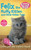 Felix the Fluffy Kitten and Other Kitten Tales