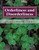 Orderliness and Disorderliness: Being Orderly and Not Disorderly