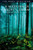A Midsummer Night's Dream: Third Series (The Arden Shakespeare Third Series)