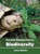 Current Researches in Biodiversity