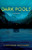 Dark Pools