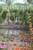 Return To Eden
