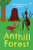 Anthill Forest