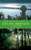 Every Pilgrim's Guide to Celtic Britain and Ireland