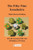 The Fifty-Nine Icosahedra
