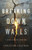 Breaking Down Walls: A Battle Worth Fighting