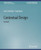 Contextual Design: Evolved