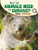 What Do Animals Need To Survive? (Science Inquiry)